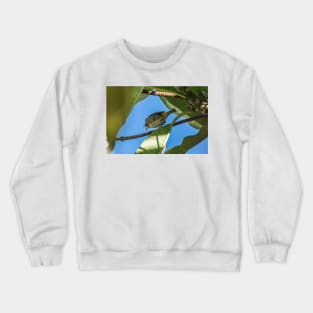 Downtown Bird Crewneck Sweatshirt